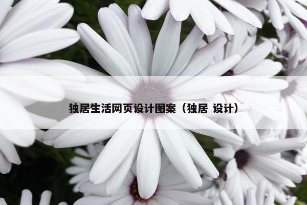 独居生活网页设计图案（独居 设计）-第1张图片-冷动云