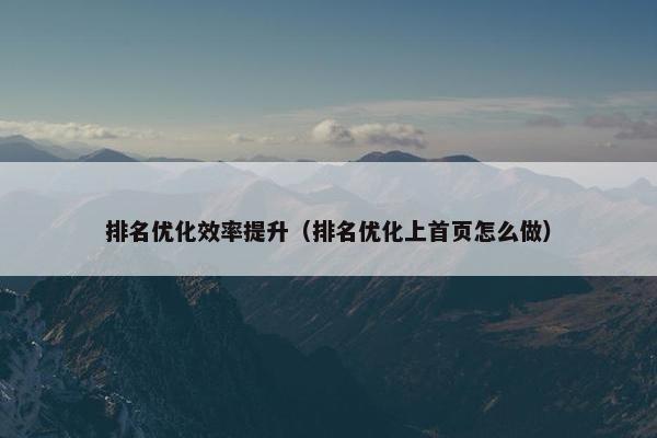 排名优化效率提升（排名优化上首页怎么做）-第1张图片-冷动云