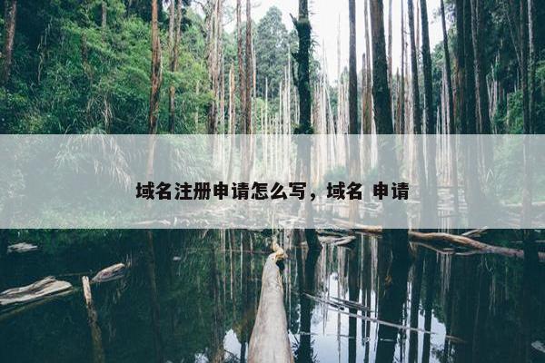 域名注册申请怎么写，域名 申请-第1张图片-冷动云