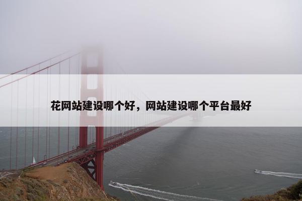 花网站建设哪个好，网站建设哪个平台最好-第1张图片-冷动云
