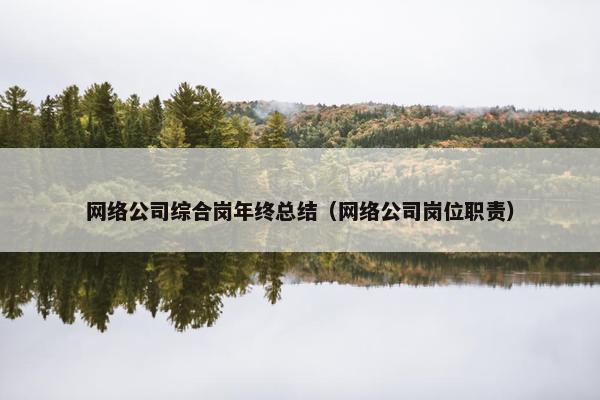 网络公司综合岗年终总结（网络公司岗位职责）-第1张图片-冷动云
