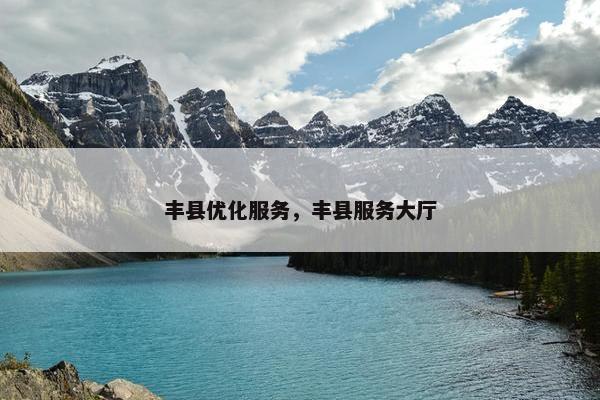 丰县优化服务，丰县服务大厅-第1张图片-冷动云