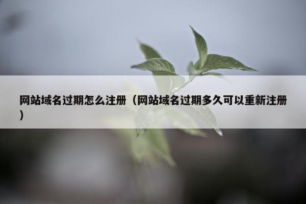 网站域名过期怎么注册（网站域名过期多久可以重新注册）-第1张图片-冷动云