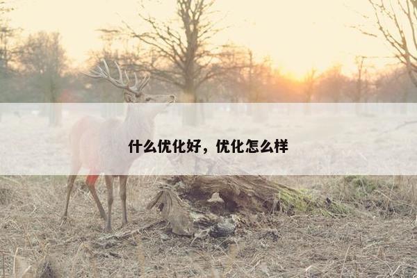 什么优化好，优化怎么样-第1张图片-冷动云