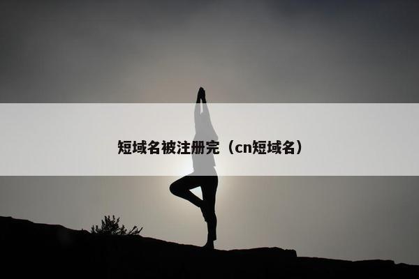 短域名被注册完（cn短域名）-第1张图片-冷动云