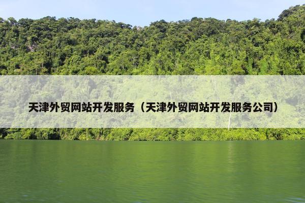 天津外贸网站开发服务（天津外贸网站开发服务公司）-第1张图片-冷动云
