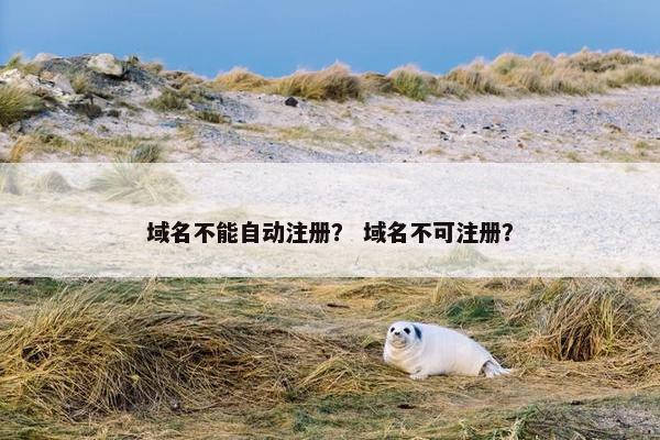 域名不能自动注册？ 域名不可注册？-第1张图片-冷动云