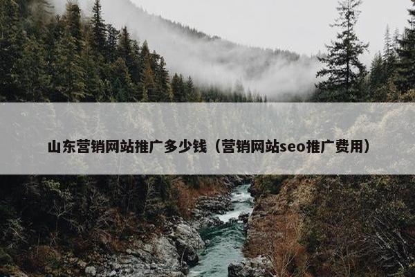 山东营销网站推广多少钱（营销网站seo推广费用）-第1张图片-冷动云