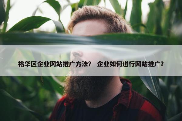 裕华区企业网站推广方法？ 企业如何进行网站推广？-第1张图片-冷动云