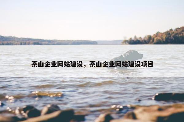 茶山企业网站建设，茶山企业网站建设项目-第1张图片-冷动云