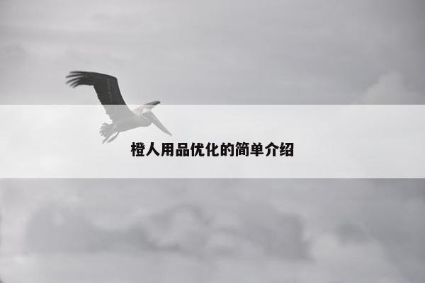 橙人用品优化的简单介绍-第1张图片-冷动云