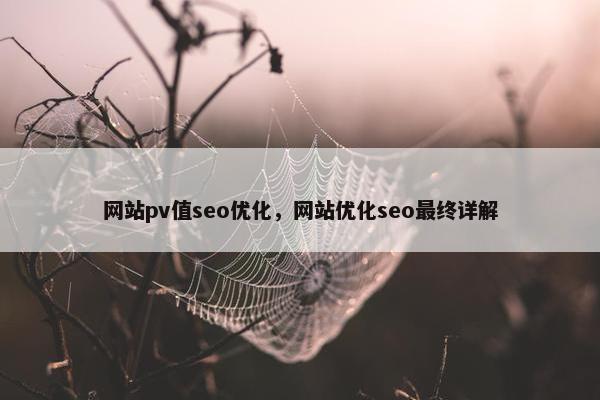 网站pv值seo优化，网站优化seo最终详解-第1张图片-冷动云