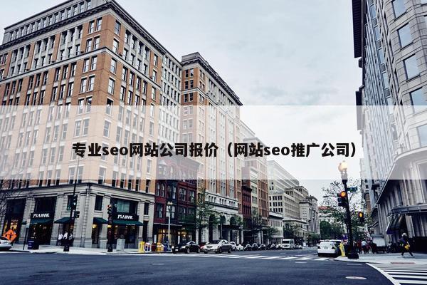 专业seo网站公司报价（网站seo推广公司）-第1张图片-冷动云