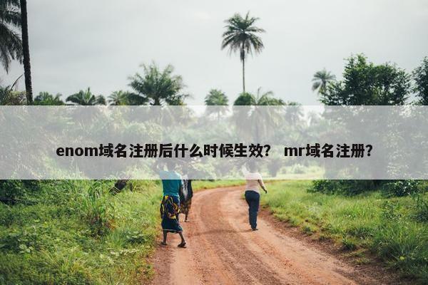 enom域名注册后什么时候生效？ mr域名注册？-第1张图片-冷动云