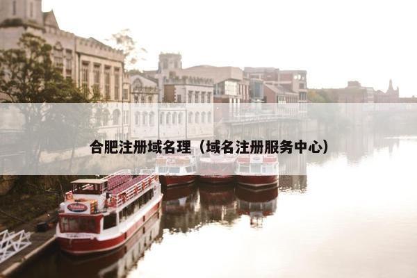 合肥注册域名理（域名注册服务中心）-第1张图片-冷动云