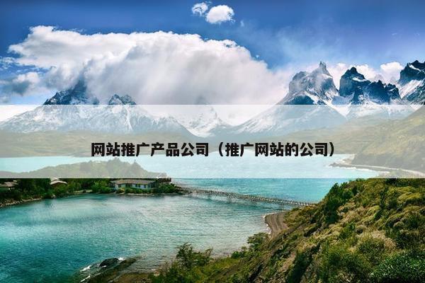 网站推广产品公司（推广网站的公司）-第1张图片-冷动云