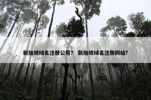 新加坡域名注册公司？ 新加坡域名注册网站？-第1张图片-冷动云