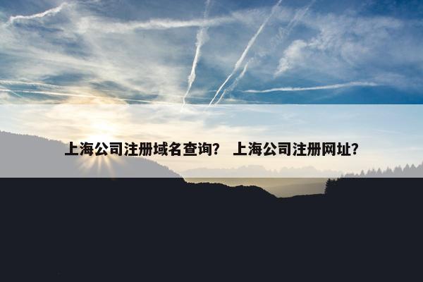 上海公司注册域名查询？ 上海公司注册网址？-第1张图片-冷动云