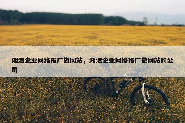 湘潭企业网络推广做网站，湘潭企业网络推广做网站的公司-第1张图片-冷动云