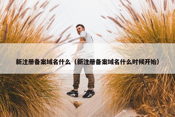 新注册备案域名什么（新注册备案域名什么时候开始）-第1张图片-冷动云