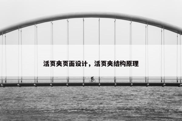 活页夹页面设计，活页夹结构原理-第1张图片-冷动云