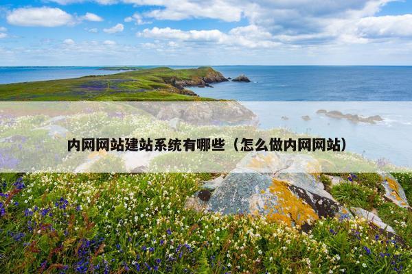 内网网站建站系统有哪些（怎么做内网网站）-第1张图片-冷动云