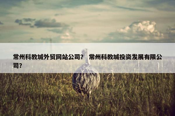 常州科教城外贸网站公司？ 常州科教城投资发展有限公司？-第1张图片-冷动云
