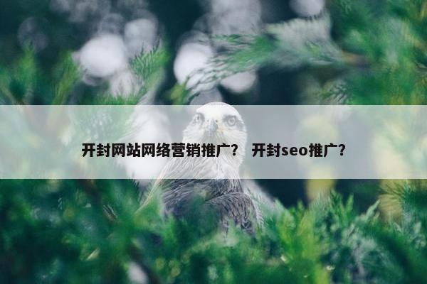 开封网站网络营销推广？ 开封seo推广？-第1张图片-冷动云