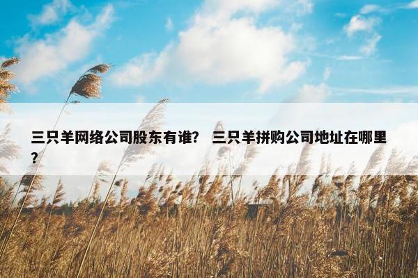 三只羊网络公司股东有谁？ 三只羊拼购公司地址在哪里？-第1张图片-冷动云
