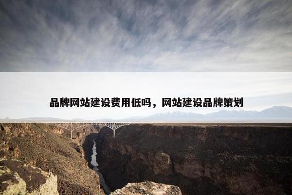 品牌网站建设费用低吗，网站建设品牌策划-第1张图片-冷动云