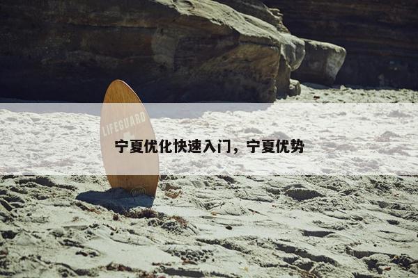 宁夏优化快速入门，宁夏优势-第1张图片-冷动云
