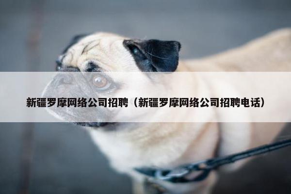 新疆罗摩网络公司招聘（新疆罗摩网络公司招聘电话）-第1张图片-冷动云