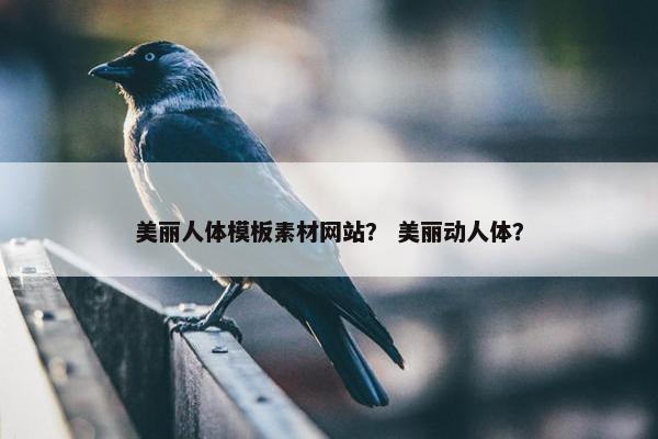 美丽人体模板素材网站？ 美丽动人体？-第1张图片-冷动云