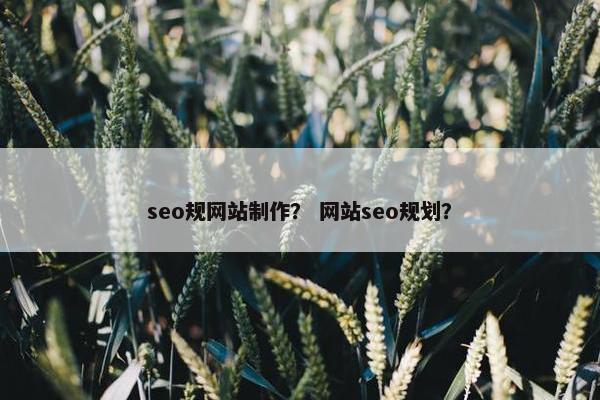 seo规网站制作？ 网站seo规划？-第1张图片-冷动云
