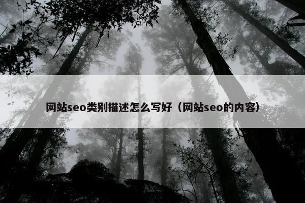 网站seo类别描述怎么写好（网站seo的内容）-第1张图片-冷动云