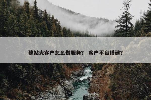 建站大客户怎么做服务？ 客户平台搭建？-第1张图片-冷动云