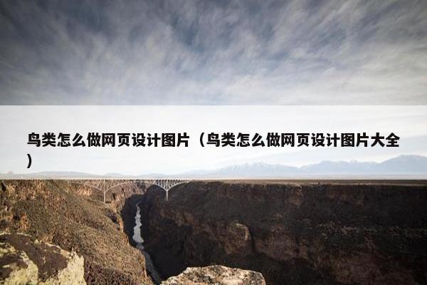 鸟类怎么做网页设计图片（鸟类怎么做网页设计图片大全）-第1张图片-冷动云