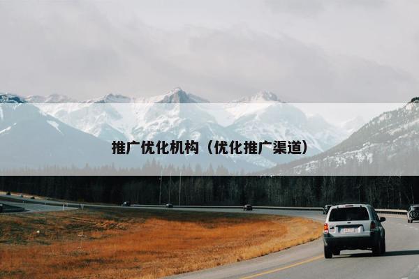 推广优化机构（优化推广渠道）-第1张图片-冷动云
