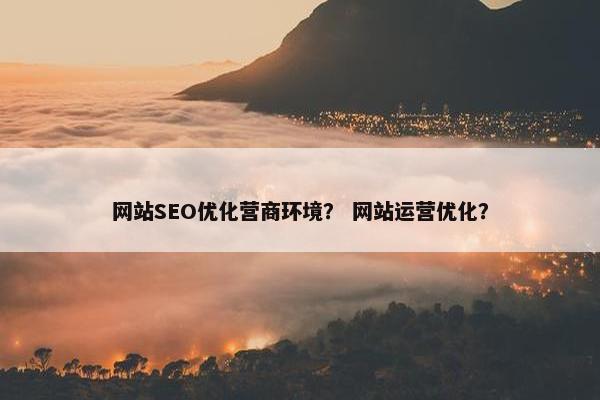 网站SEO优化营商环境？ 网站运营优化？-第1张图片-冷动云