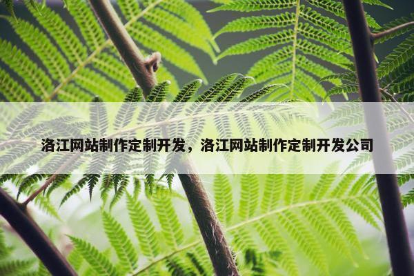 洛江网站制作定制开发，洛江网站制作定制开发公司-第1张图片-冷动云