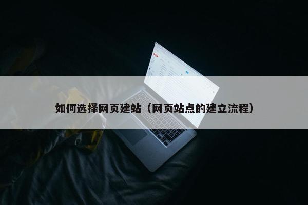 如何选择网页建站（网页站点的建立流程）-第1张图片-冷动云