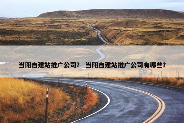 当阳自建站推广公司？ 当阳自建站推广公司有哪些？-第1张图片-冷动云