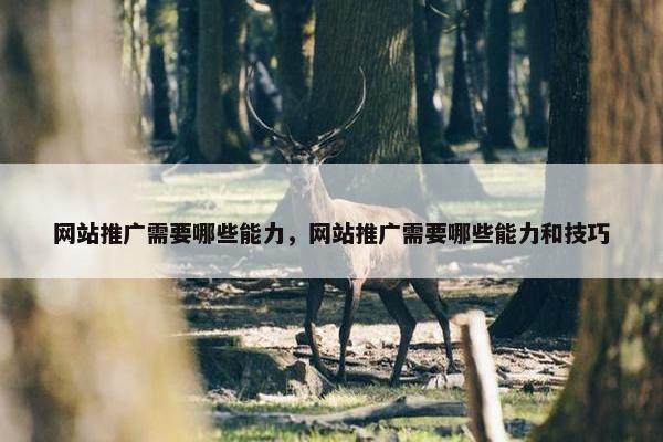 网站推广需要哪些能力，网站推广需要哪些能力和技巧-第1张图片-冷动云
