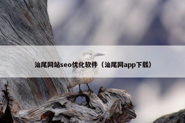 汕尾网站seo优化软件（汕尾网app下载）-第1张图片-冷动云