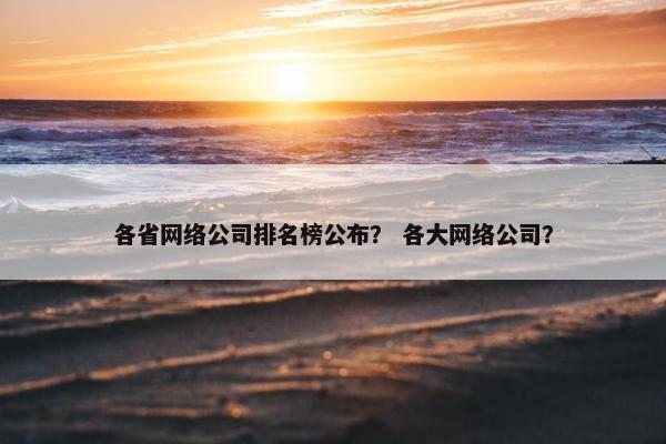 各省网络公司排名榜公布？ 各大网络公司？-第1张图片-冷动云