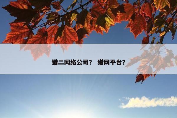 猎二网络公司？ 猎网平台？-第1张图片-冷动云