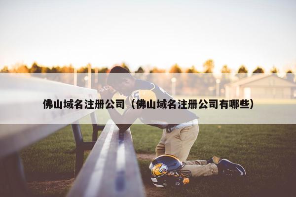 佛山域名注册公司（佛山域名注册公司有哪些）-第1张图片-冷动云