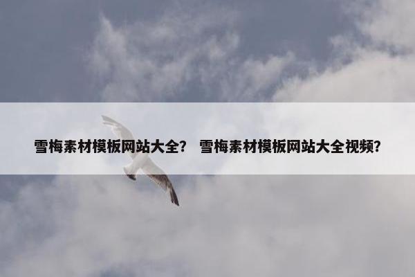 雪梅素材模板网站大全？ 雪梅素材模板网站大全视频？-第1张图片-冷动云