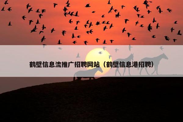 鹤壁信息流推广招聘网站（鹤壁信息港招聘）-第1张图片-冷动云