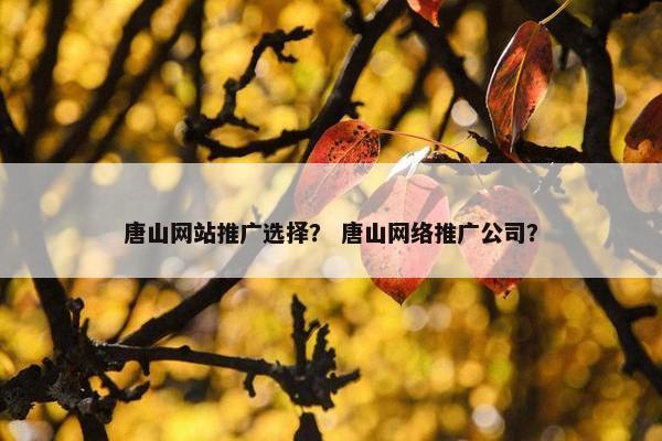 唐山网站推广选择？ 唐山网络推广公司？-第1张图片-冷动云